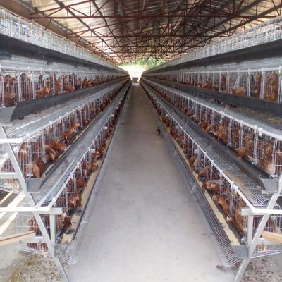 Les rangées de la ferme avicole 5 posent la batterie animale d'oiseaux de la cage 250 de poulet