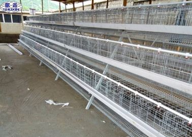 La cage de poulet de 3 couches/la cage d'aviculture de couche conçoivent le temps de longue durée