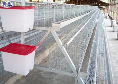 La volaille commerciale met en cage le démontage simple pour la ferme avicole d'oeufs de l'Afrique