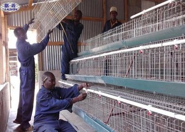 Cages faites sur commande de poulet de volaille/cadre en acier d'intérieur de fer d'angle de cage de poulet