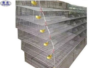 La cage de pose de cailles de maillage de soudure/volaille de cailles posent la certification de la CE de cages