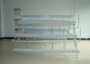 Cages de batterie de volaille de cages de pondeuses de garantie de 10 ans pour la ferme du Kenya