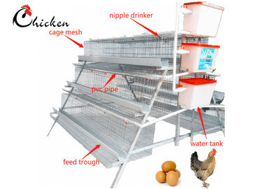 Cage de batterie automatique de couche de poulet, cages modernes en acier du poulet Q235