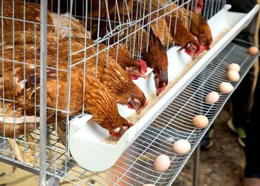 Cage de batterie de poulet de couche d'oeufs, système de cage de couche de volaille de pondeuses de ferme
