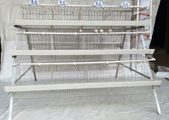 La batterie 3/4 pose la cage de ferme avicole de la couche Q235