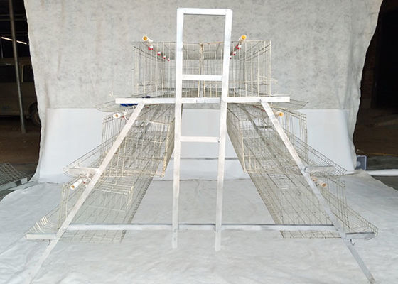 Cage de poulet en acier galvanisé pour l'élevage de volailles