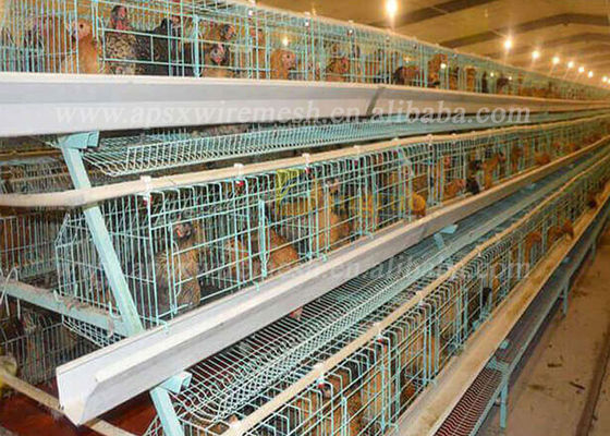 Cage de volaille de couche de capacité de 4 des rangées 4 poulets des cellules 128 dans la ferme