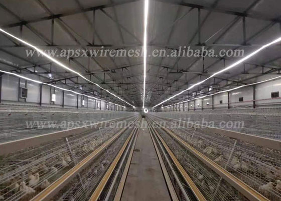 Équipement de ferme avicole un type rangées de la cage 4 de poulet de couche de Q235