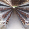 Les rangées de la ferme avicole 5 posent la batterie animale d'oiseaux de la cage 250 de poulet