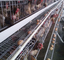 Chambre de poulet galvanisée à chaud de ferme avicole d'oeufs de cage de couche de 4 rangées