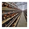 Cage d'œufs de poulet en acier galvanisé Grande capacité 96-160 poulets