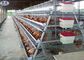 4 niveaux 128 Couche d'oiseaux Cage de poulet Ferme de volaille galvanisée pour poules