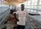 La cage de poulet de couche d'oeufs, volaille de poules Metal la cage de poulet pour le Kenya
