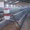 Cage de couche d'usine de cage de poulet/grilleur, cages d'élevage de poulet de ferme