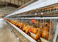 La cage de batterie de couche de poulet de rangée de la ferme 4 de la Tanzanie, volaille mettent en cage le système