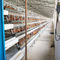 Cages galvanisées électriques de poulet de volaille de production animale
