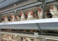 Un type 96 cage galvanisée de ponte d'oeufs de poules d'oiseaux pour l'agriculture de couche