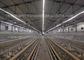 Équipement de ferme avicole un type rangées de la cage 4 de poulet de couche de Q235