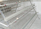 Cage de alimentation automatique de poulet galvanisée 160 par poulets étendant Hen Cages