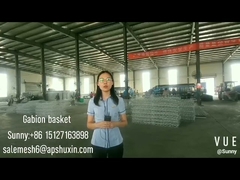 Le PVC galvanisé par immersion chaude hexagonale a enduit la preuve de rouille de cages de mur de Gabion de 2mm