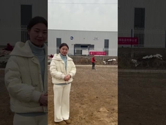 Maillage métallique de barrière antichar