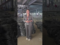 Le spectacle de l'atelier de treillis invisibles