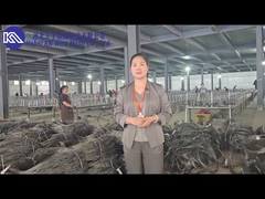 Introduction et exposition de l'atelier de maillage de barrière antichar