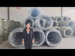 Bto 22 Bto 30 Cbt 60 Cbt65 Lame de rasoir antirouille Fil barbelé Diamètre de la bobine 500mm Concertina