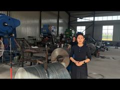 Clôture en fil de rasoir croisé en acier inoxydable BTO-16 BTO-22 BTO-60 CBT-65 Clôture en fil barbelé à lames de rasoir