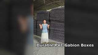 Boîte de Gabion enduite de PVC de grillage de fer galvanisé