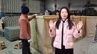 Barrières soudées galvanisées Barrières de bastion Mur contre les inondations de sable