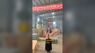 Les sacs de sable ont galvanisé le grillage résistant en métal de bastion de barrière défensive