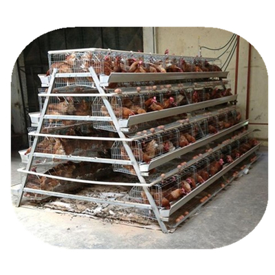 Le poulet de couche de résistance à la corrosion mettent en cage la volaille de 96 120 128 160 oiseaux