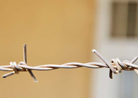 Utilisation des murs de la prison bobines en fil de fer barbelé galvanisé à chaud