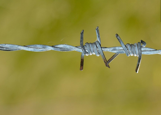 Utilisation des murs de la prison en PVC enduit à double tournure/fil barbelé galvanisé