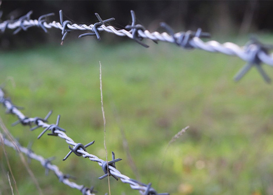 Utilisation des murs de la prison fil barbelé en acier inoxydable à double brin inversé