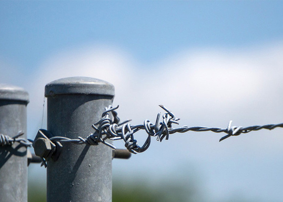 Utilisation des murs de la prison longueur 200m fil barbelé galvanisé à chaud