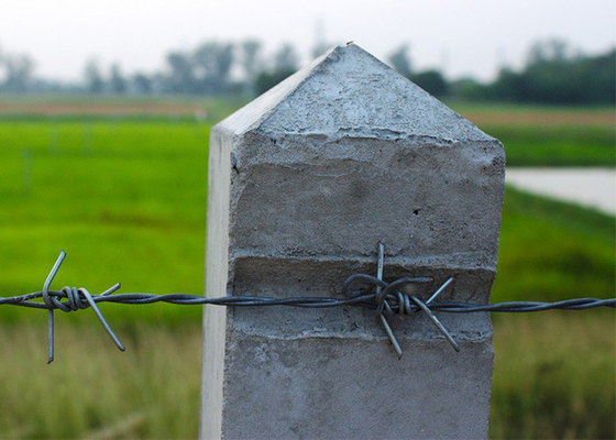 Protection des exploitations agricoles 50 kg rouleau en fil de fer barbelé électrique à double brin à torsion inverse