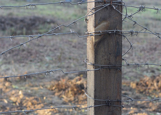 Protection des exploitations agricoles 50 kg rouleau de fil barbelé traditionnel à double brin