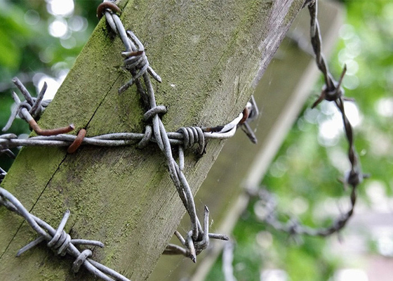 1.8mm bobines de fil barbelé en acier électrique à double fil inversé