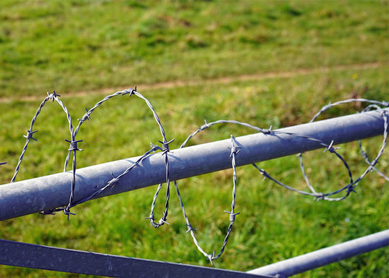 Résistance à la rouille Protection de la clôture en fil de fer barbelé en acier galvanisé à brin unique