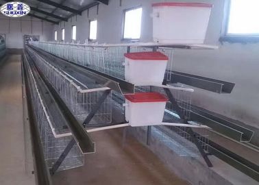 Équipement de volaille de cage de poulet de couche de porte des oeufs 4 de la capacité 128 galvanisé à chaud