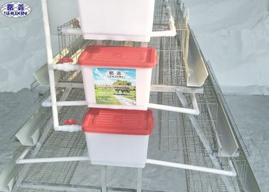 La ferme de poulet d'aviculture mettent en cage le système potable automatique qui respecte l'environnement