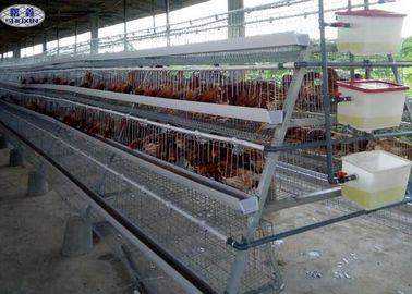 Les cages durables de poulet de volaille, volaille automatisée met en cage la certification de la CE