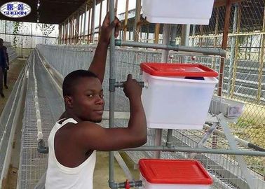 Cage de batterie de volaille de 3 rangées pour la certification de la CE de ferme avicole de poulet d'oeufs