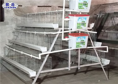 Un type certification extérieure galvanisée par cages modernes du poulet SASO
