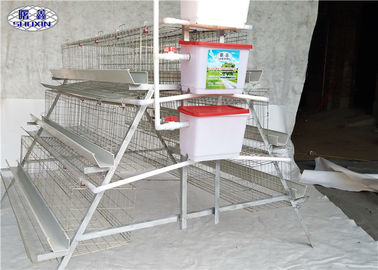 Les rangées de la ferme avicole 4 posent la cage de poulet avec les conducteurs et le circuit de refroidissement