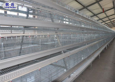 Cages galvanisées de couche de poulet de rangées de la ferme 3 pour l'alimentation de la volaille