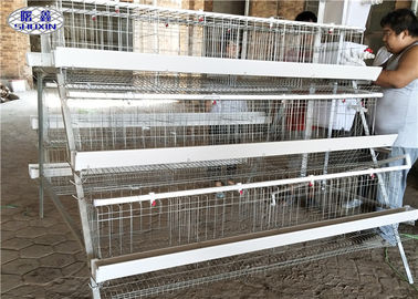 Trois rangées posent la cage de poulet/5 cellules que la volaille Egg des cages de couche 120 oiseaux