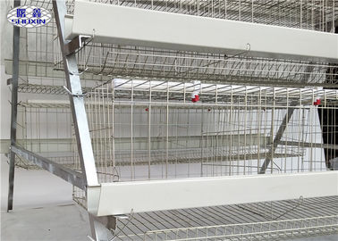Cage de batterie de couche de poulet de 3 rangées pour la ferme avicole de poulet de ponte d'oeufs